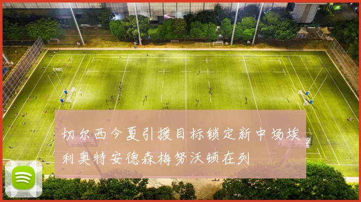 切尔西今夏引援目标锁定新中场埃利奥特安德森梅努沃顿在列