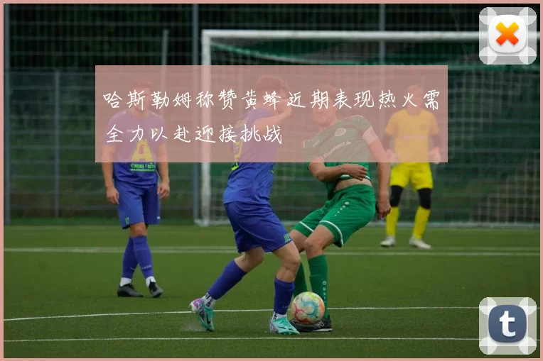 哈斯勒姆称赞黄蜂近期表现热火需全力以赴迎接挑战