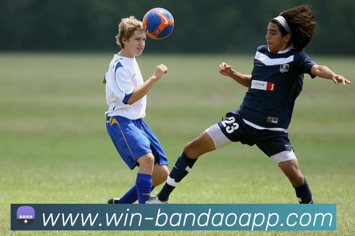 米博体育APP 封面图